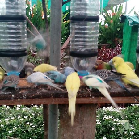 T Garden Villa Pantai Cenang  Eksteriør bilde