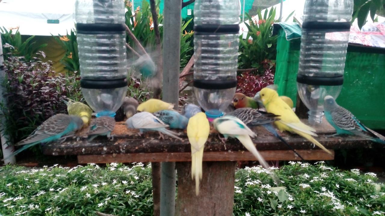 T Garden Villa Pantai Cenang  Eksteriør bilde