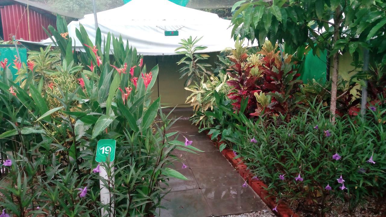 T Garden Villa Pantai Cenang  Eksteriør bilde
