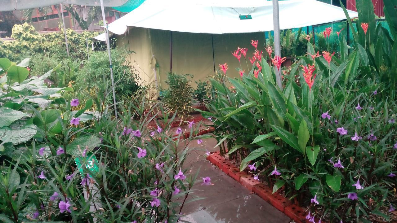 T Garden Villa Pantai Cenang  Eksteriør bilde