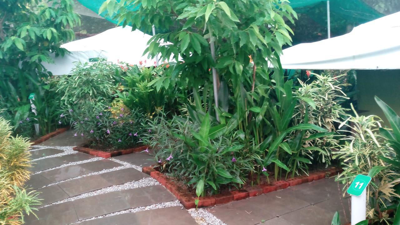 T Garden Villa Pantai Cenang  Eksteriør bilde